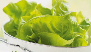 SALADE VERTE